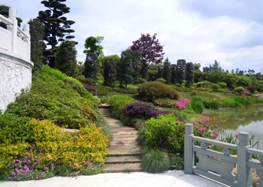 某沿湖景观项目 